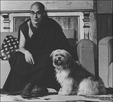 Dalai Lama and his Tibetan Terrier ‘Senge’ 1969